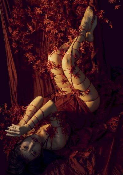 单身女人_BD英语日韩电影在线